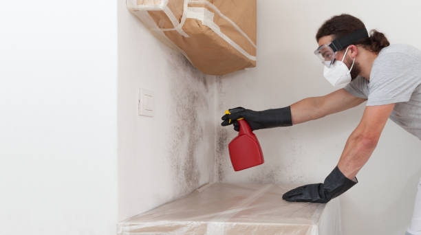 Professional Crawl Space Mold Removal technician working in Babson Park, FL